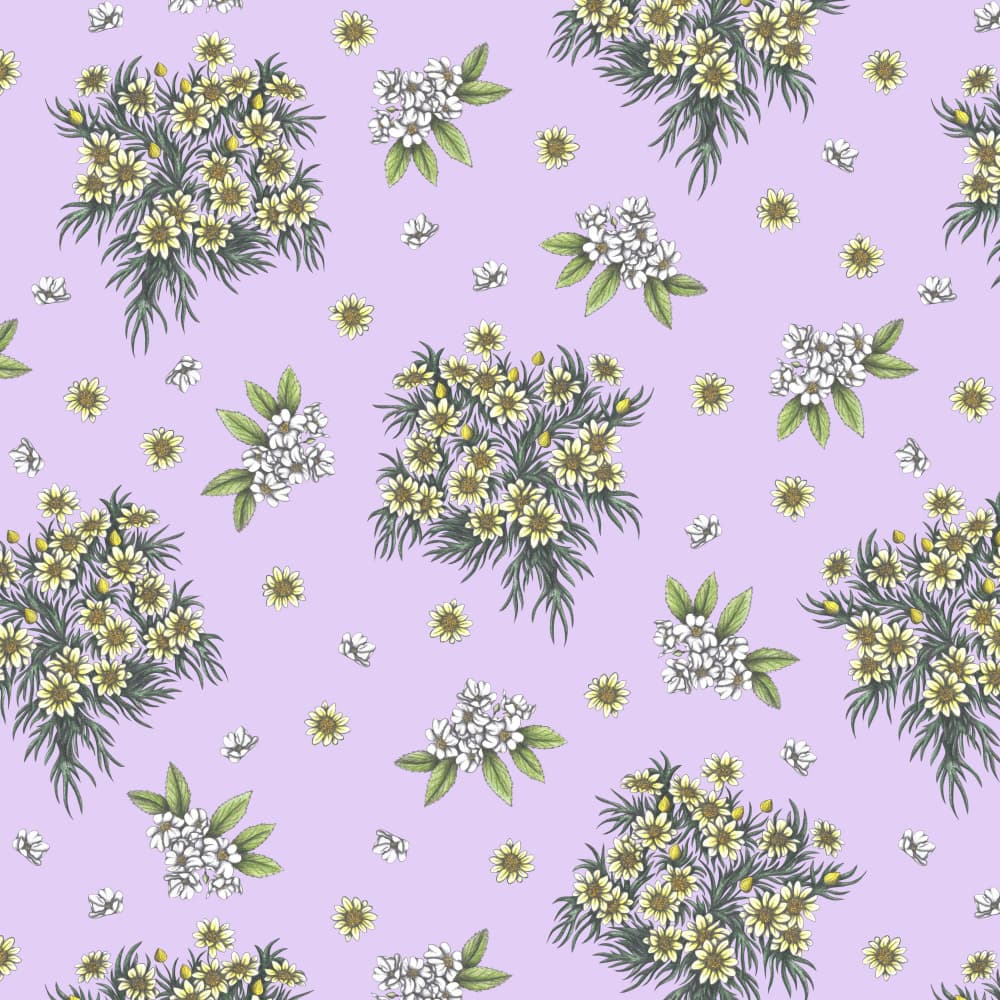 Delicate Lavender Blooms by Cecilia Battaini — canvas wall art