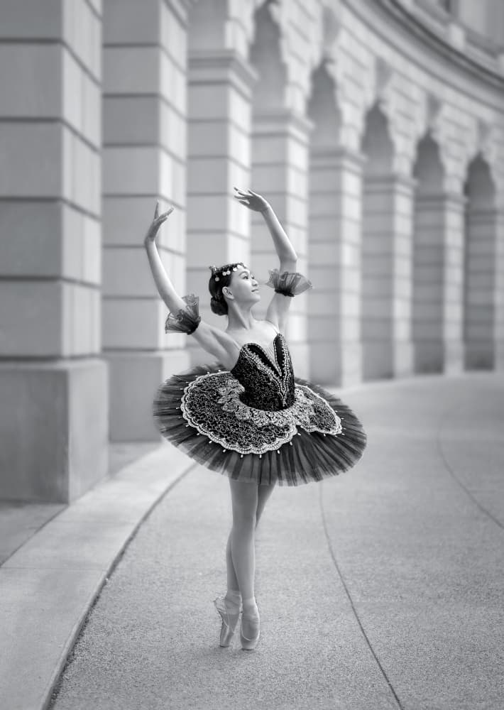 Graceful Ballerina Arches by Catherine Wang — canvas wall art