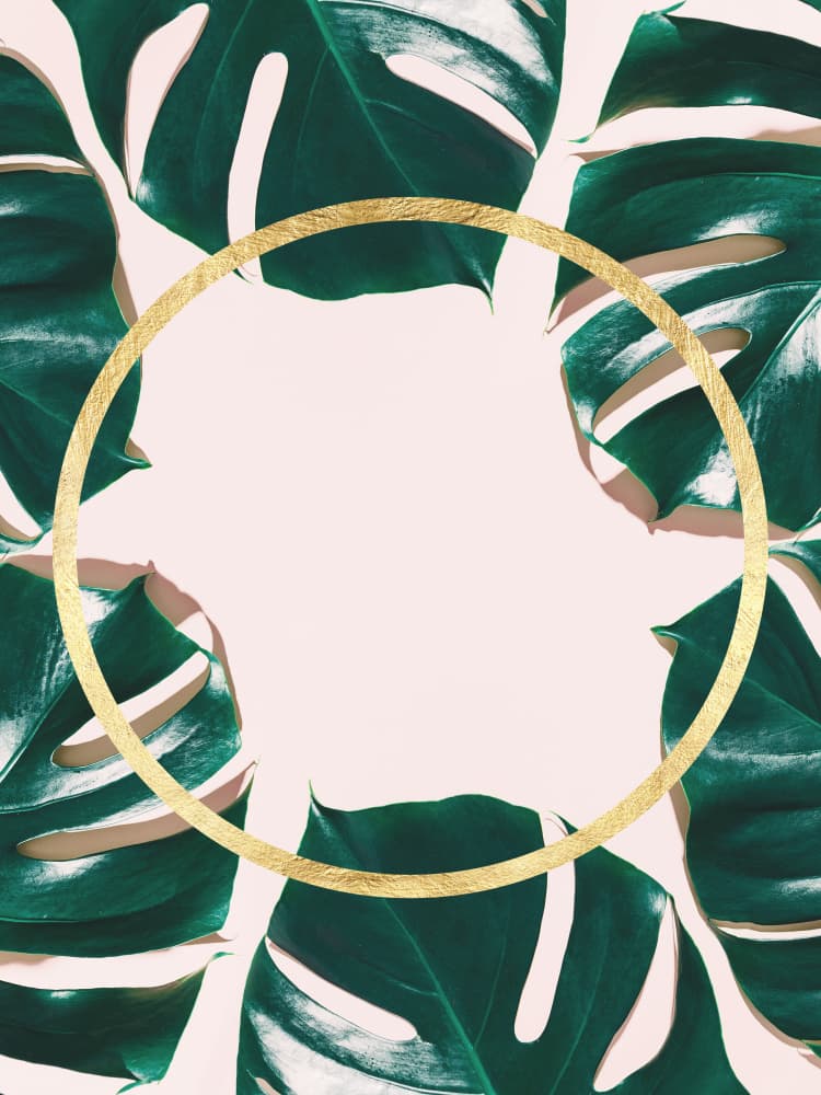 Monstera Gold Circle by Vitor Costa — canvas wall art