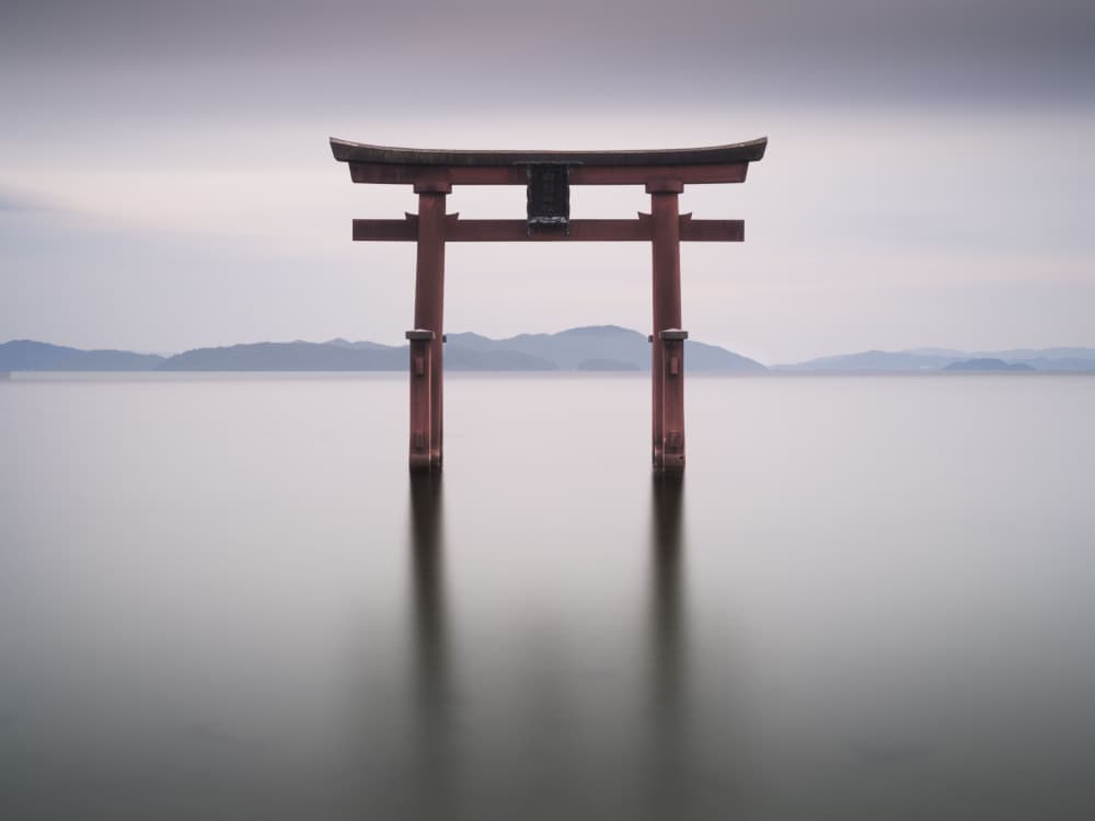 Misty Japanese Torii Gate by Robert Bolton — canvas wall art