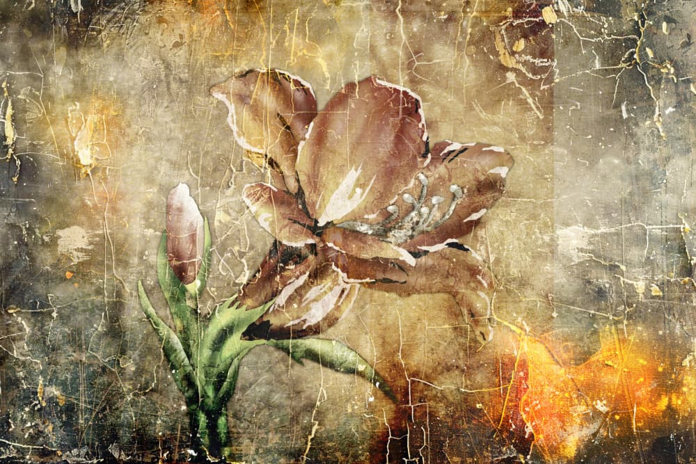 Vintage Floral Bloom by Rafal Kulik — canvas wall art