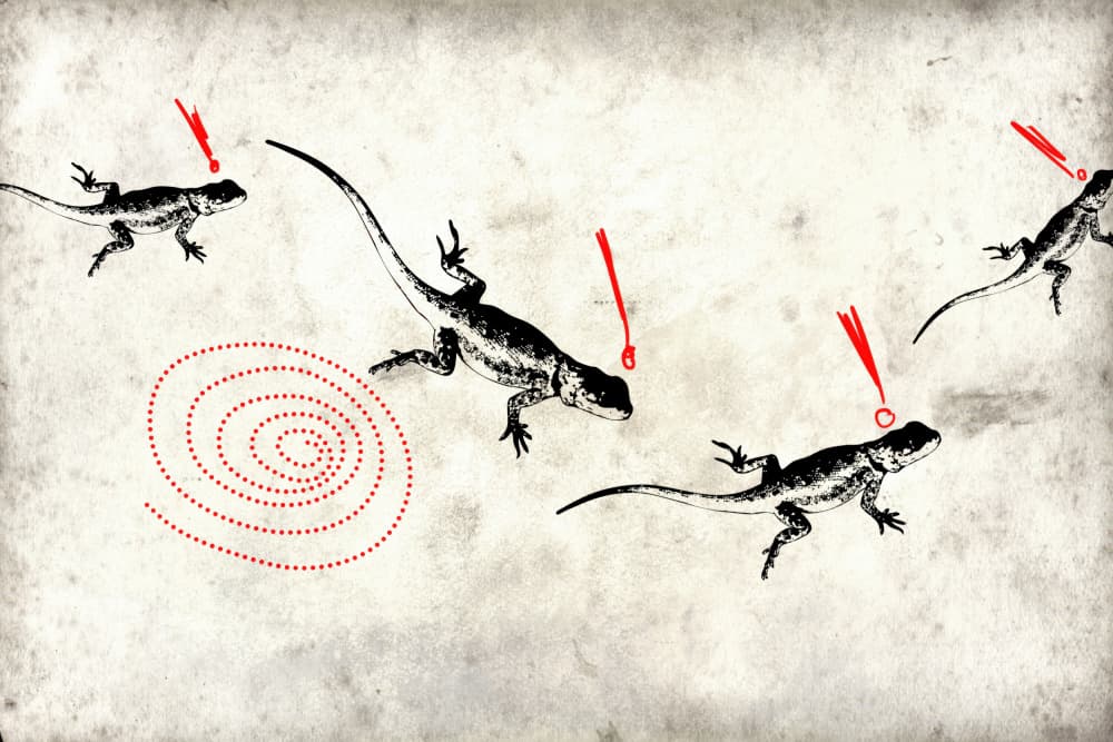 Running Lizards Red Spiral by Rafal Kulik — canvas wall art