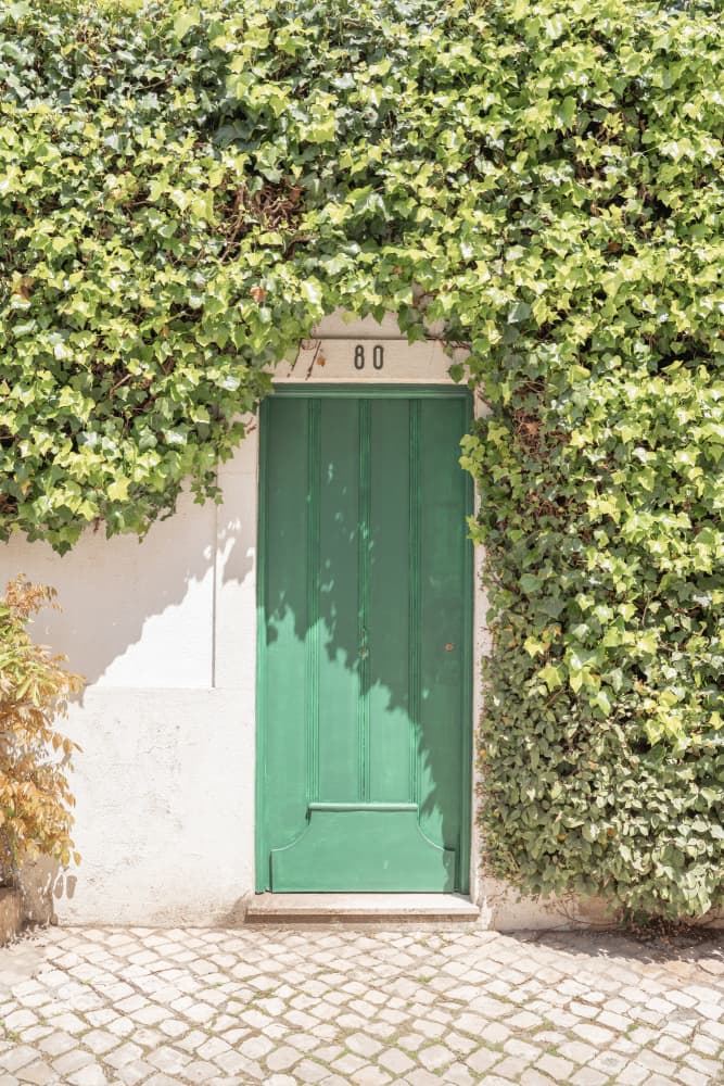 Charming Ivy Door by Henrike Schenk — canvas wall art