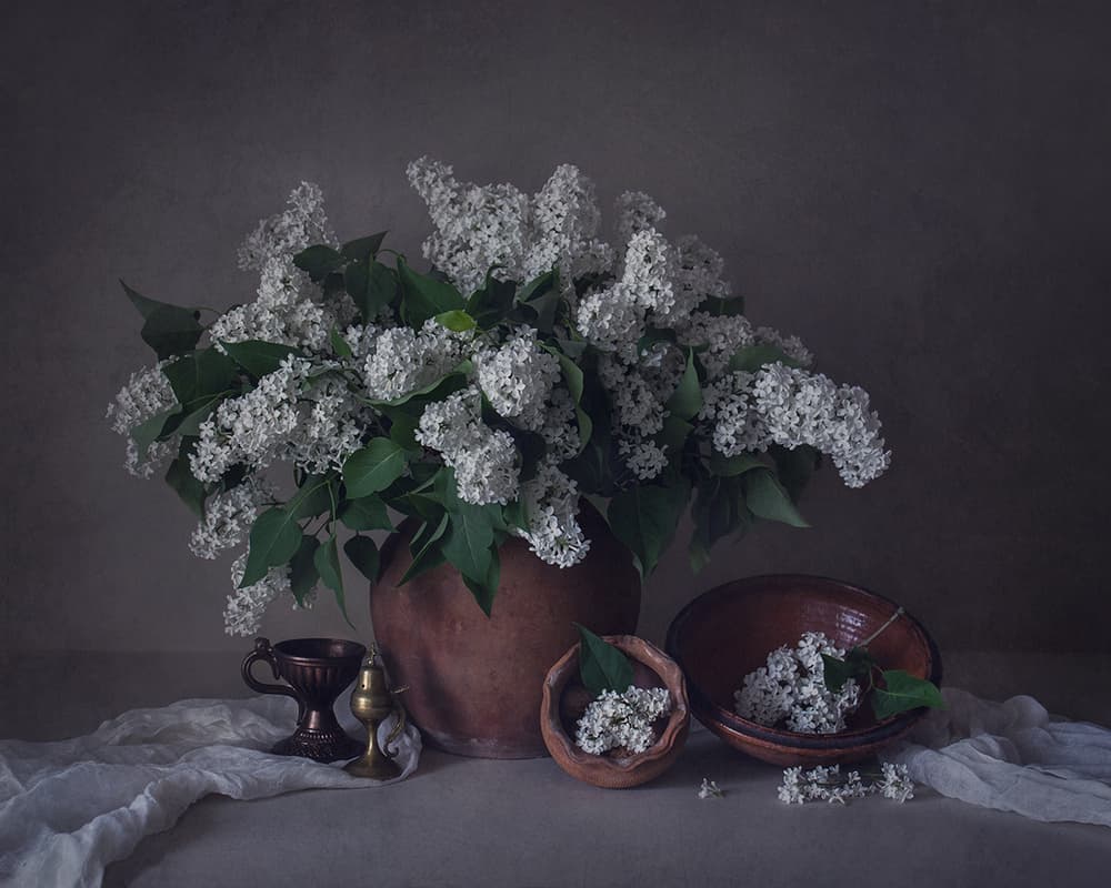 White Lilac Still Life by Dimitar Lazarov - Dim — canvas wall art
