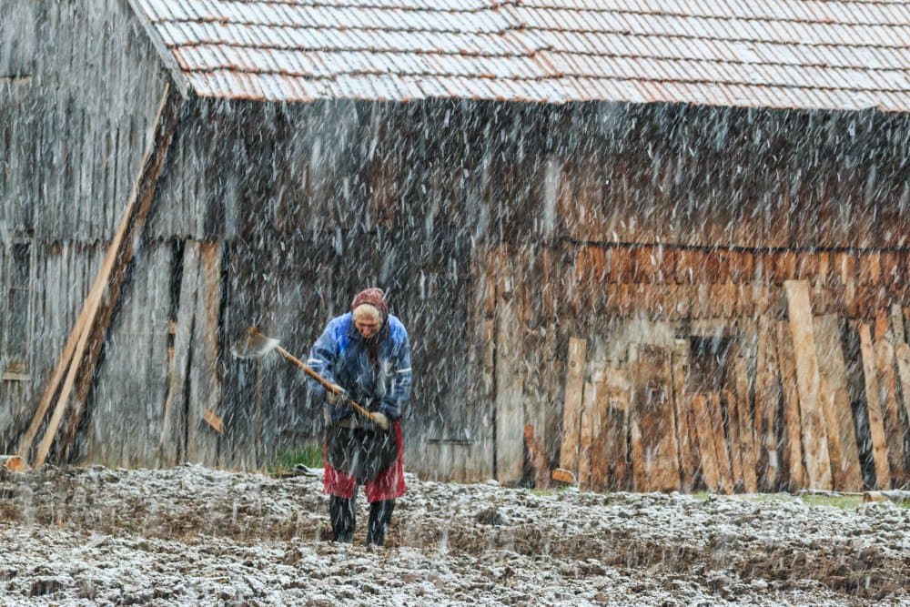 Woman in Falling Snow by Marina Sveduneac — canvas wall art