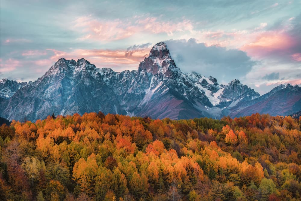 Vibrant Mountain Fall by MIN LI — canvas wall art