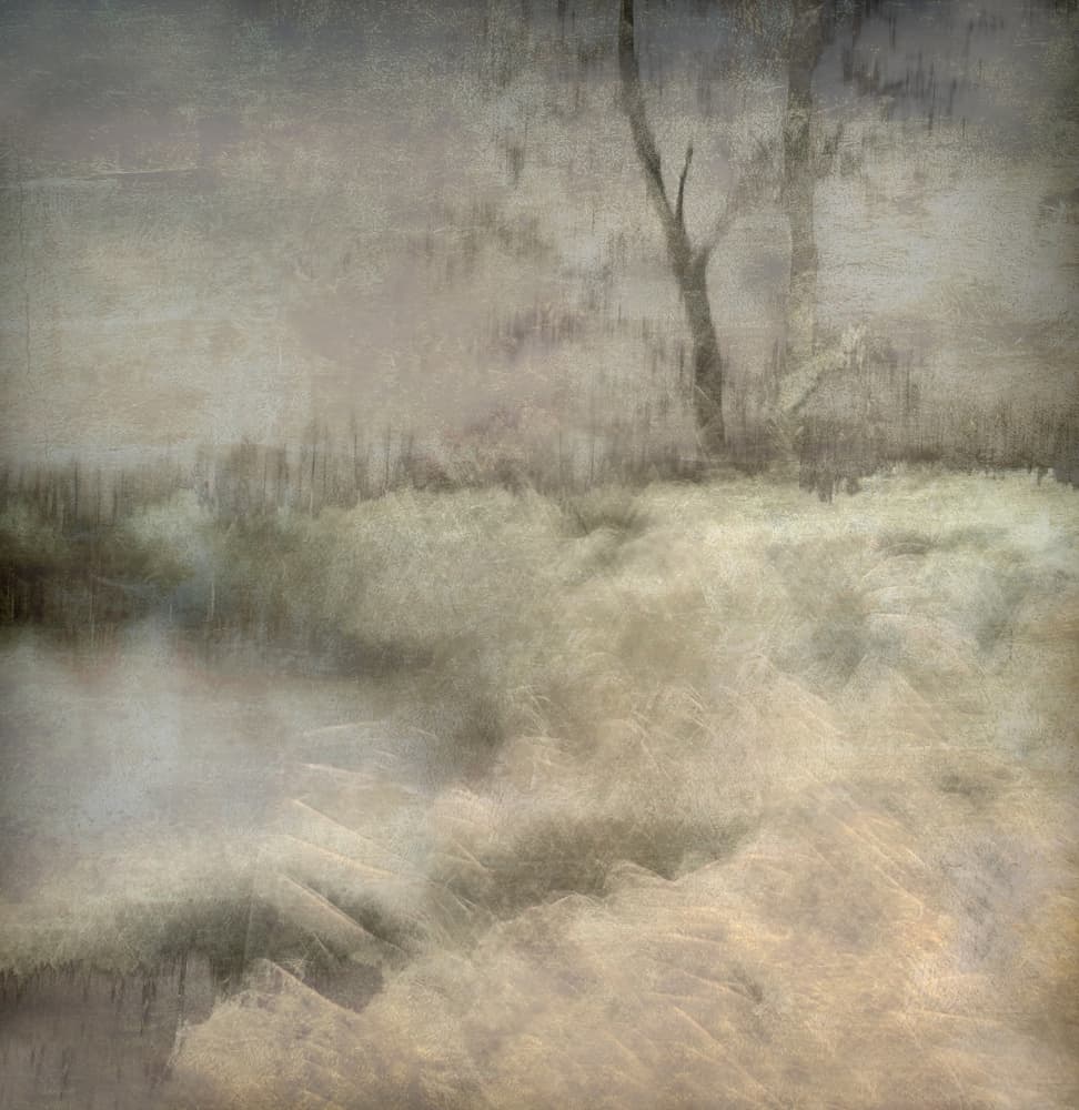 Little ven by Nel Talen — canvas wall art
