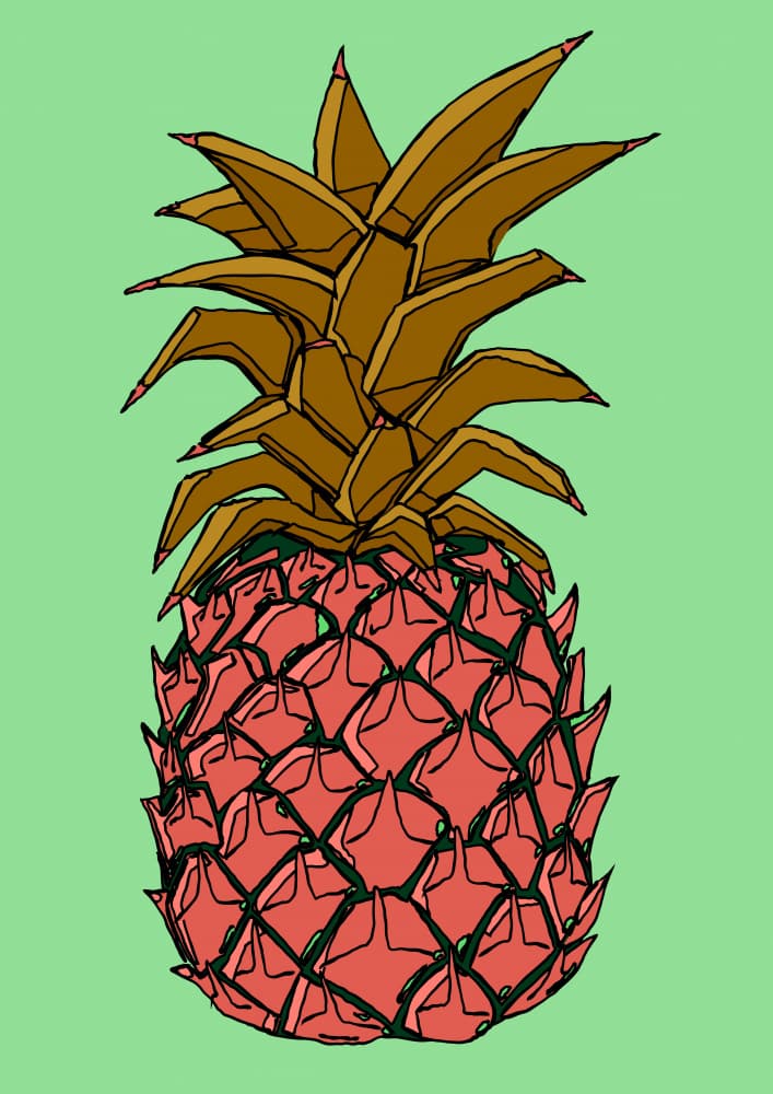 Pink Pineapple Pop by Nicholas — canvas wall art