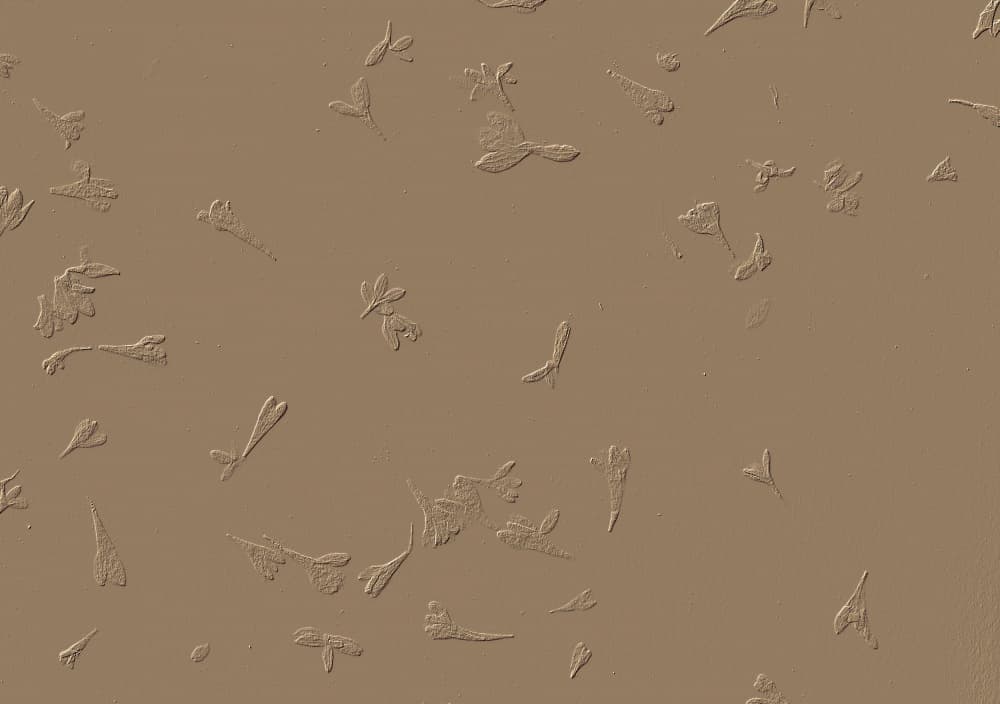 Earthy Embossed Shapes by Santhosh ch — canvas wall art
