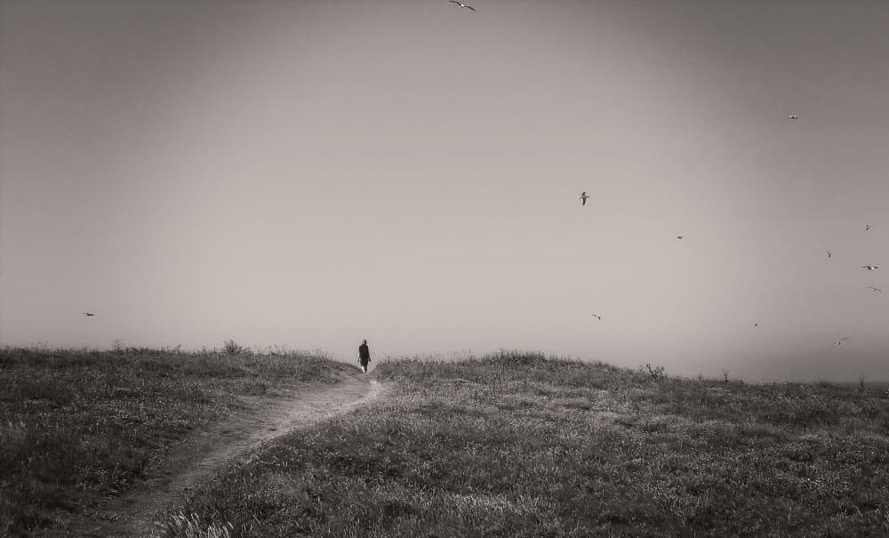 Solitary Path Walker by Anna Cseresnjes — canvas wall art