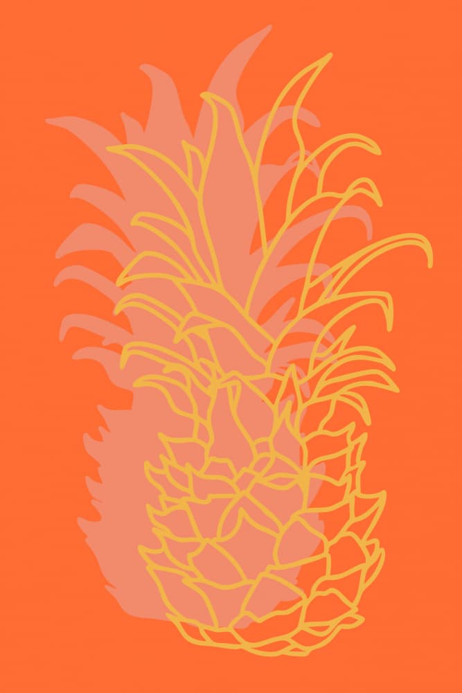 Tropical Fruit Layers