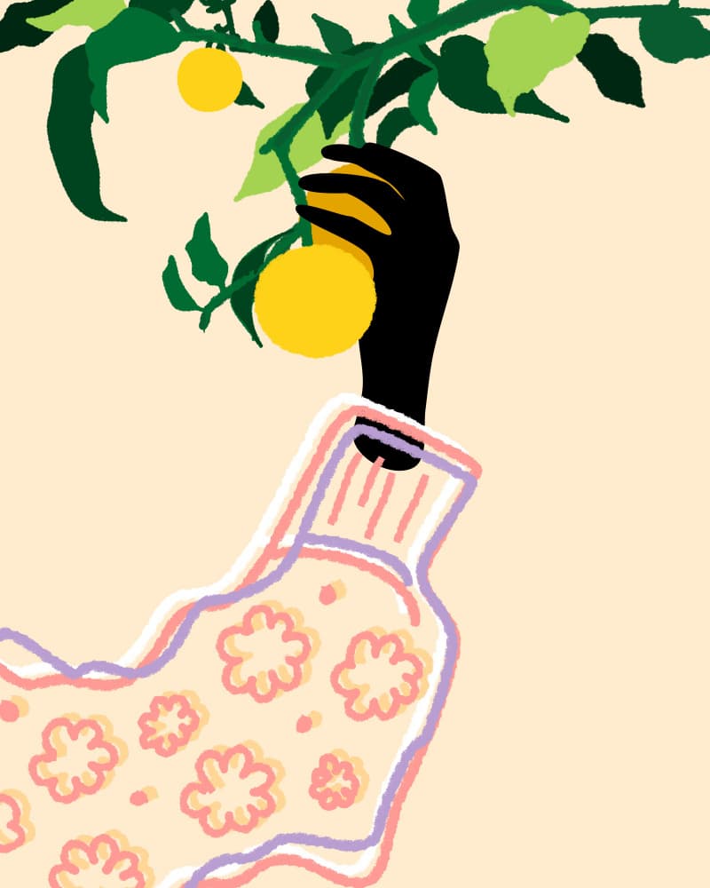 Cozy Lemon Harvest by Kintsugi99 — canvas wall art