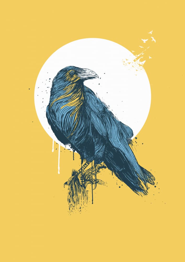 Solitary Raven Sun by Balazs Solti — canvas wall art