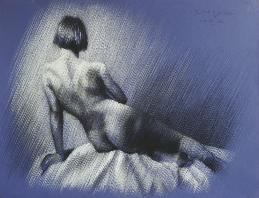 Elegant Reclining Nude Study by Corné Akkers — canvas wall art