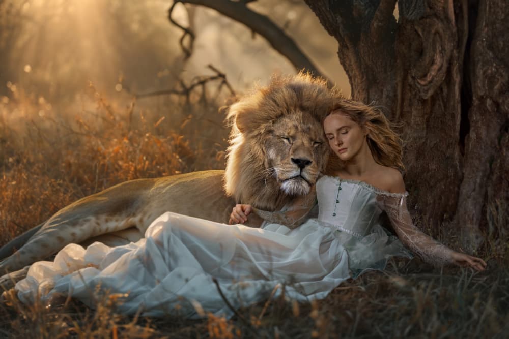 LionDream by Marcel Egger — canvas wall art