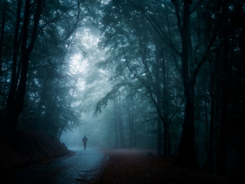 Mysterious Forest Path by Cristiano Giani — canvas wall art