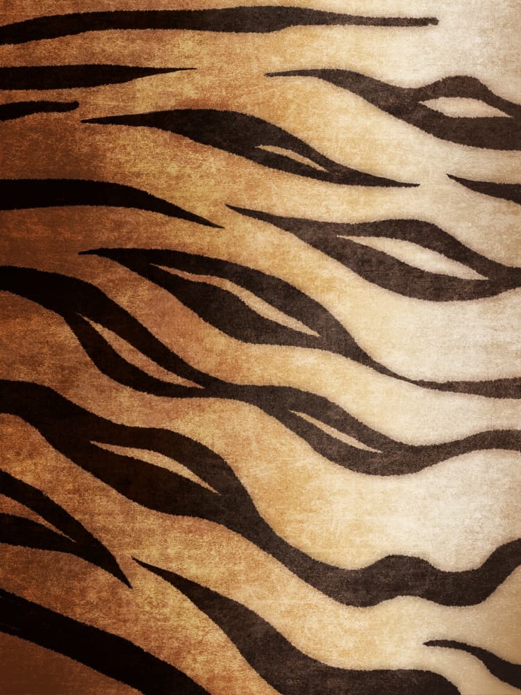 Wild Stripes Flow by Emel Tunaboylu — canvas wall art