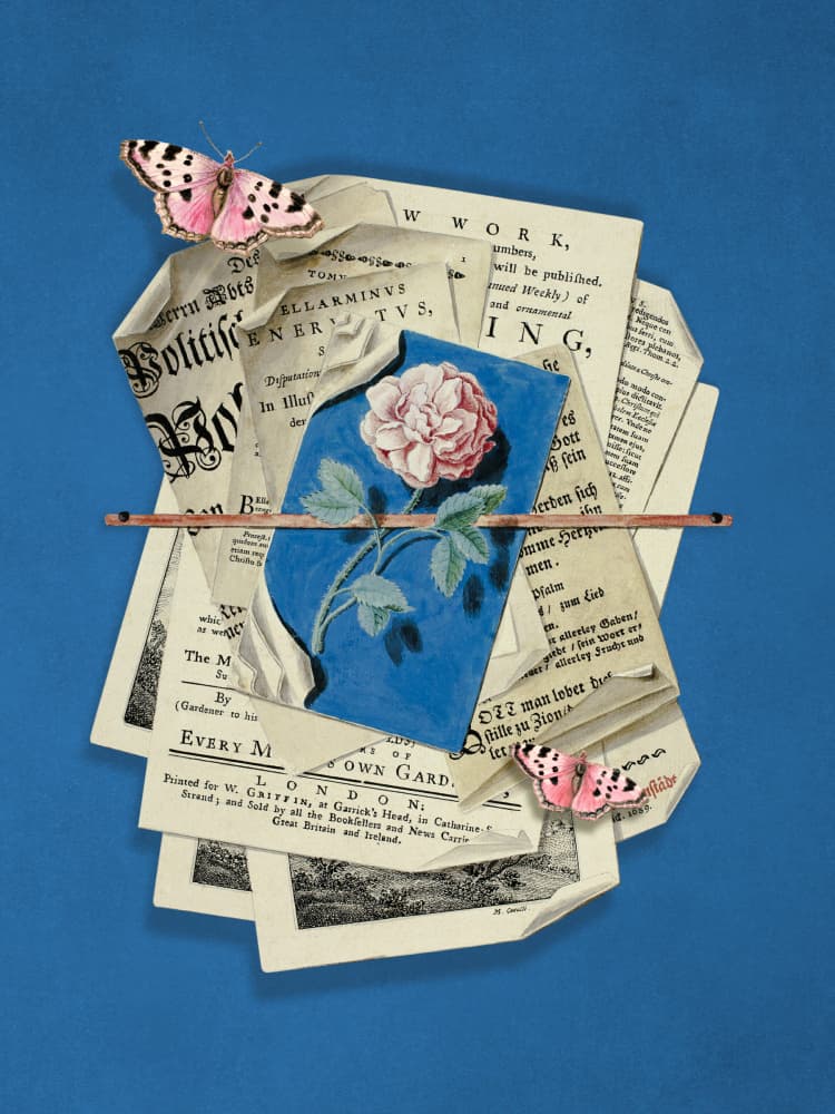 Vintage Rose Butterfly