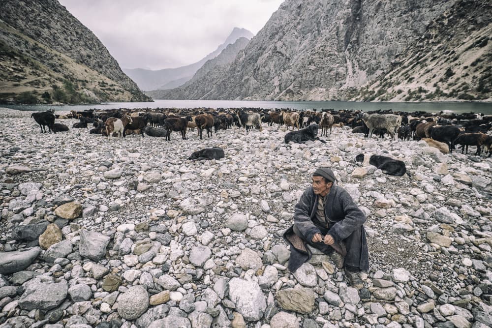 Mountain Shepherd and Herd by Marcel Rebro — canvas wall art