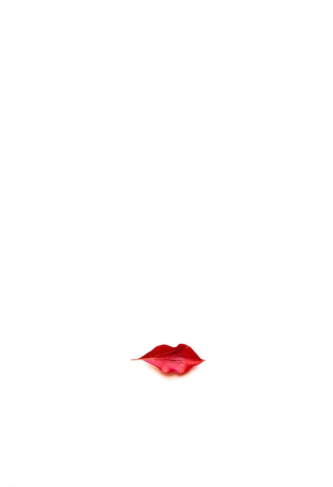 Red Leaf Lips by April Xie — canvas wall art