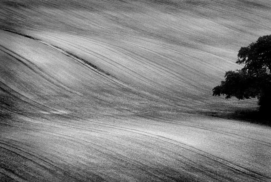 Monochrome Field Patterns by Clive Collie — canvas wall art