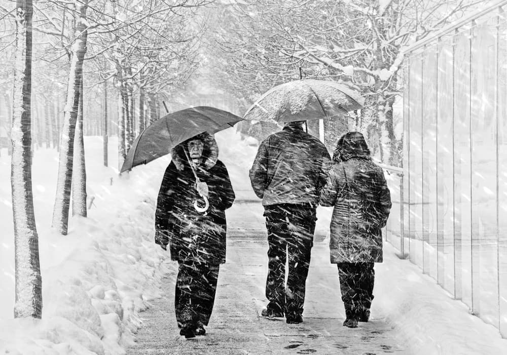 Snowy City Walk by Samanta Krivec — canvas wall art