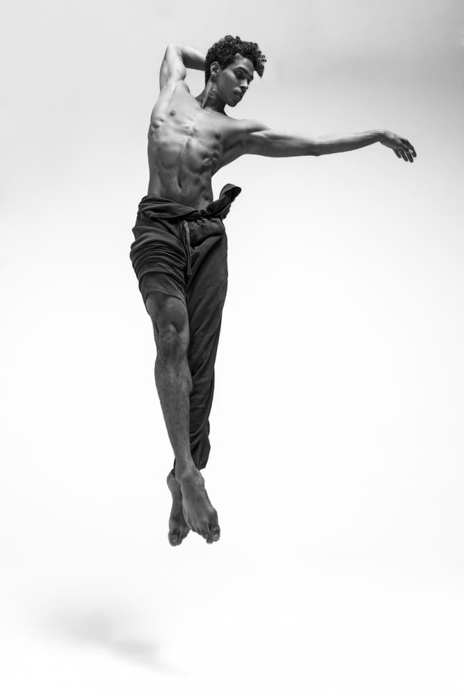 Graceful Dancer's Leap by Alexandr — canvas wall art