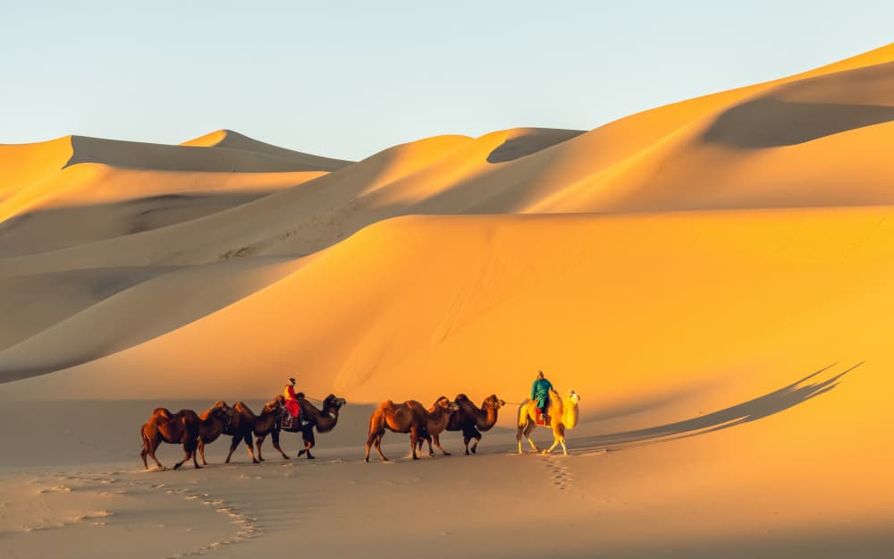 Desert Camel Caravan by ADIREK M — canvas wall art