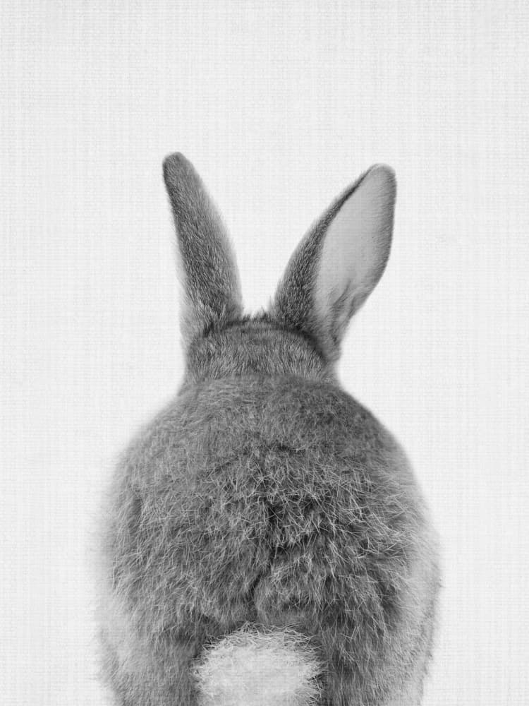 Fluffy Bunny Ears and Tail by Lila &amp; Lola — canvas wall art