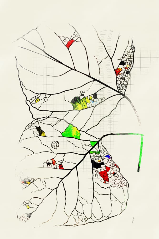 Abstract Leaf Skeleton by Ankie Kooi — canvas wall art