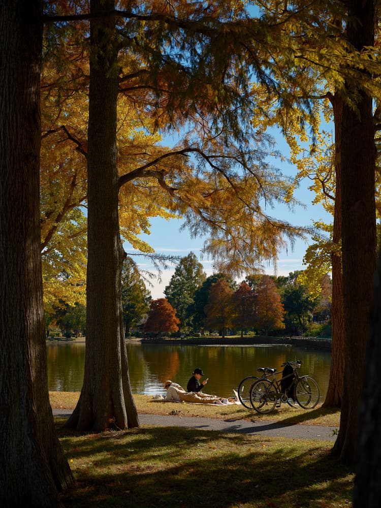 Autumn Lake Relaxation by Keigo Tatara — canvas wall art
