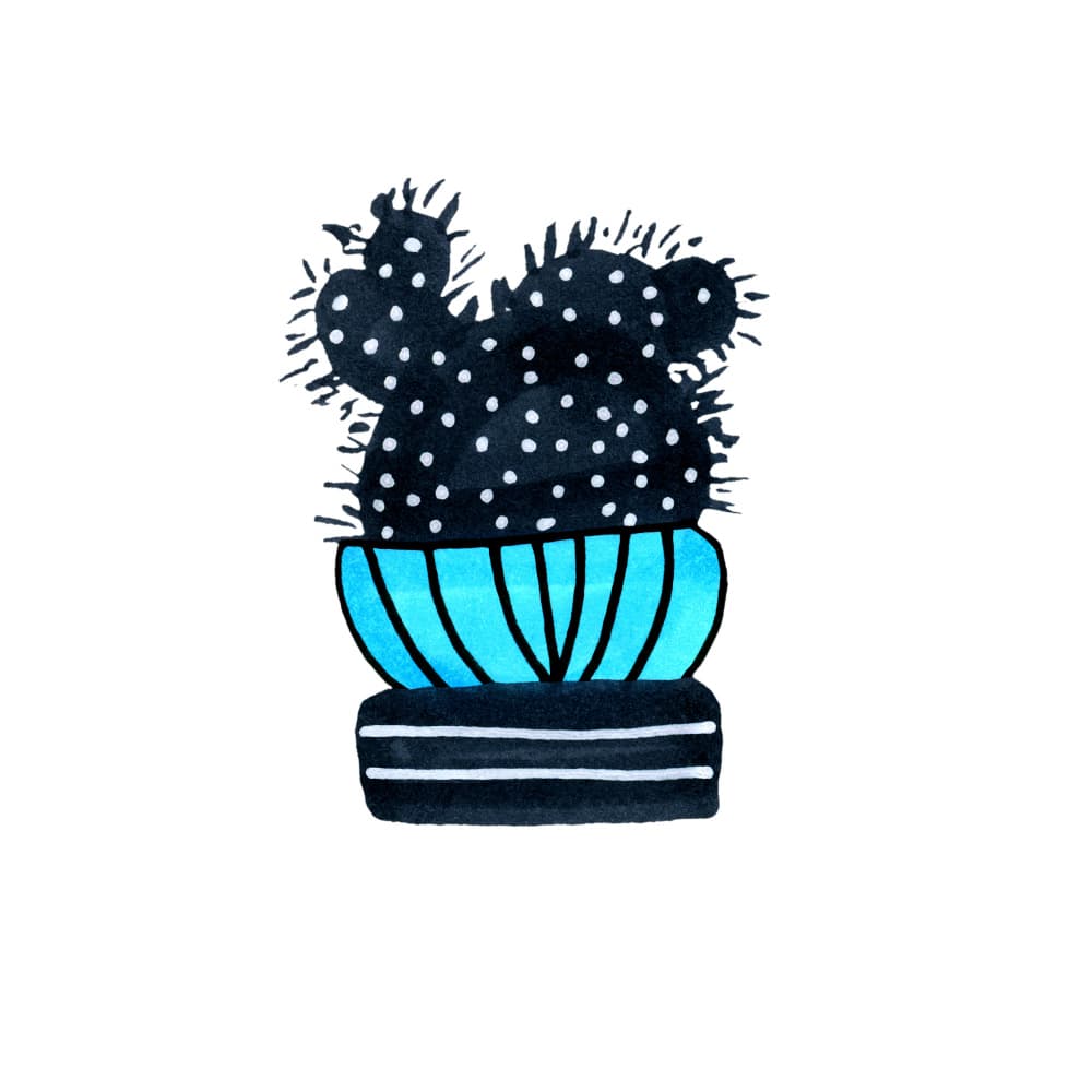 Black Cactus Blue Pot by Michele Channell — canvas wall art