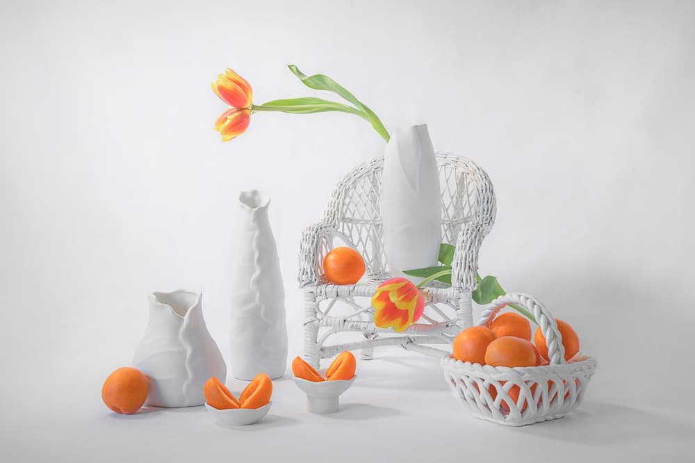 Elegant Tulips and Citrus by Lydia Jacobs — canvas wall art
