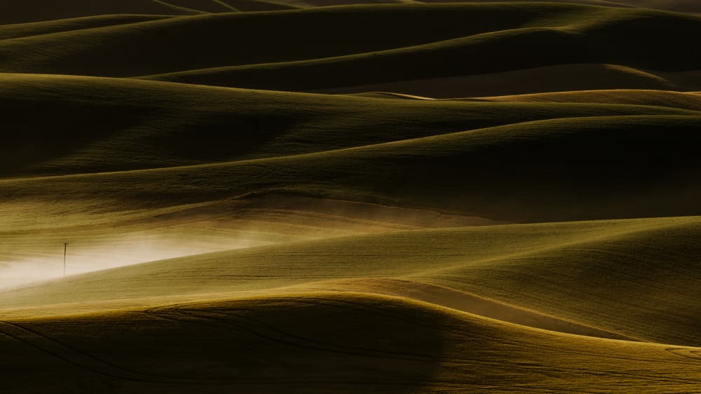 Golden Rolling Hills by Chuan Chen APA — canvas wall art