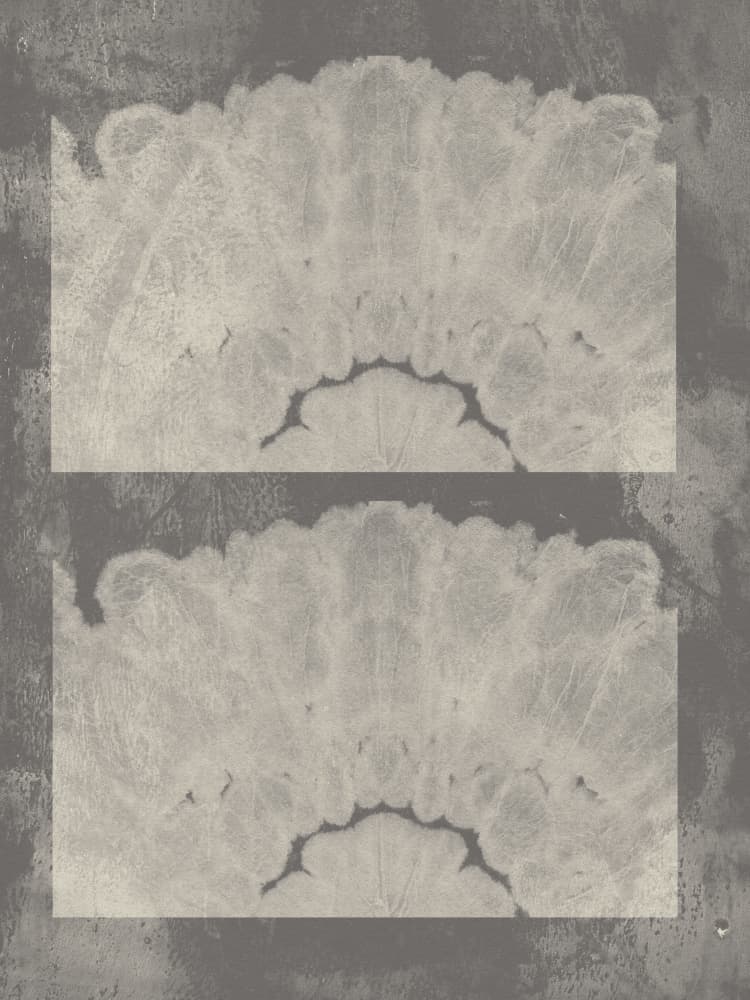 Mirrored Organic Grey by Dina Dankers — canvas wall art