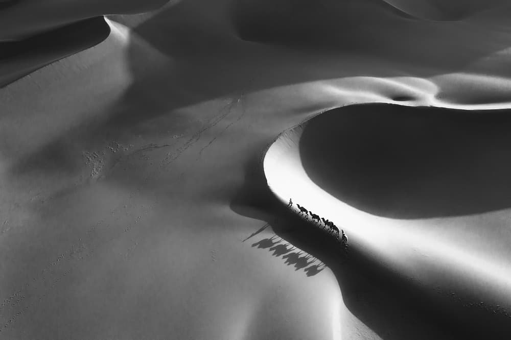 Monochrome Desert Journey by Bingo Z — canvas wall art