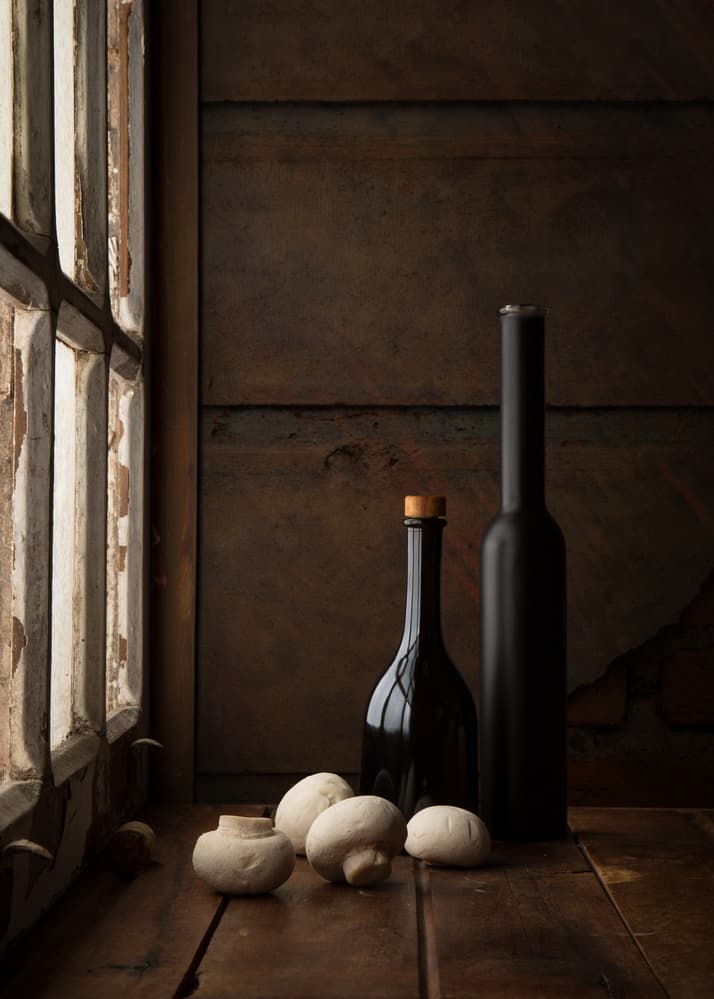 Mushrooms In Window Light by Luiz Laercio — canvas wall art