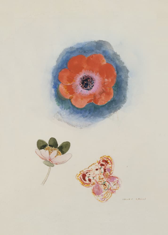 Etude de fleurs by Odilon Redon — canvas wall art