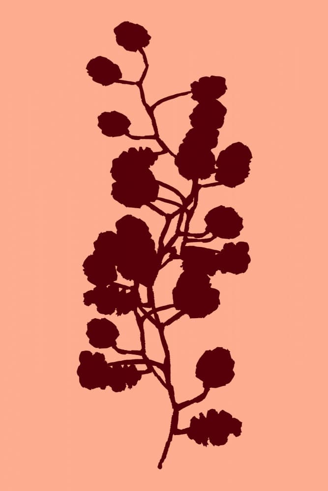 Peach Botanical Silhouette by cartissi — canvas wall art