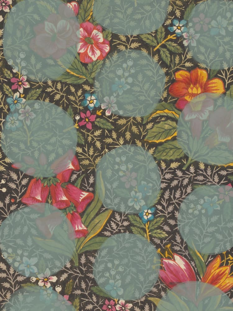Vibrant Floral Garden by Studio Palette — canvas wall art