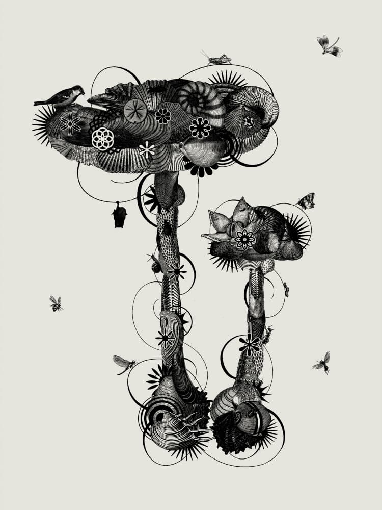Whimsical Fantasy Mushrooms by Jaco Putker — canvas wall art