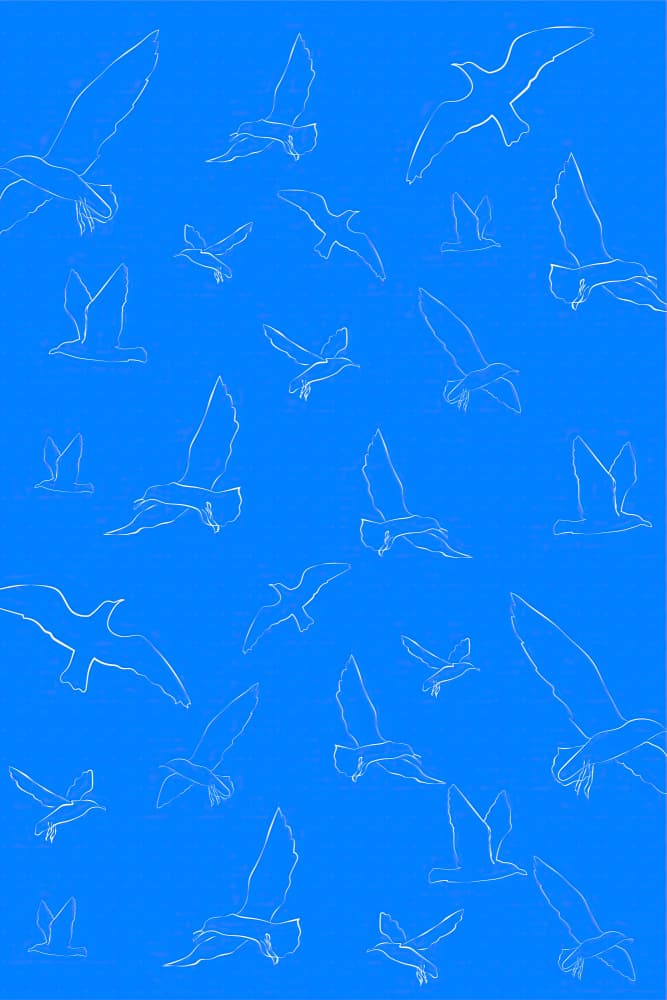Seagulls by Treechild — canvas wall art