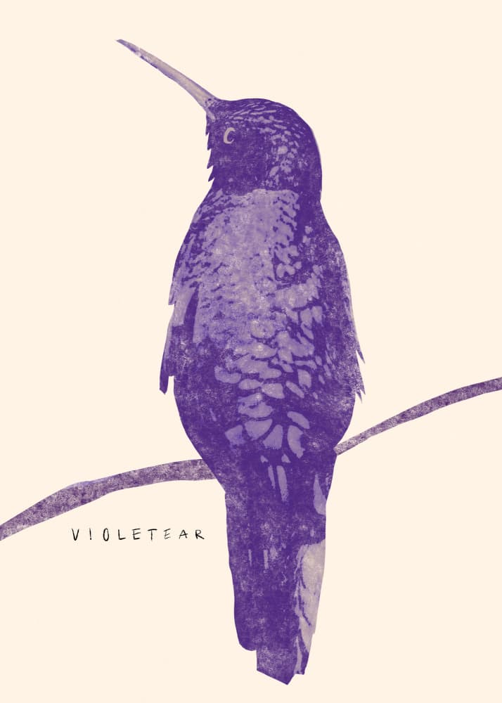 Elegant Violet Hummingbird by Josephin Hermsdorf — canvas wall art
