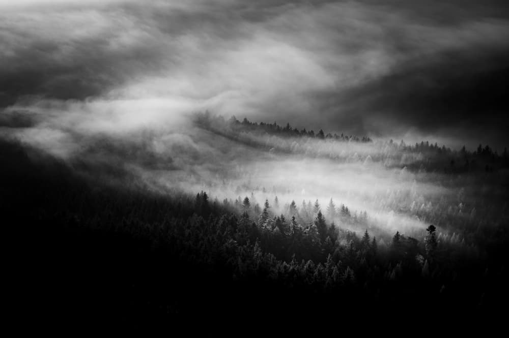 Misty Forest Landscape by Rado Gadoczi — canvas wall art