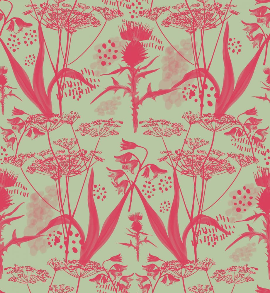 Pink Thistle Pattern