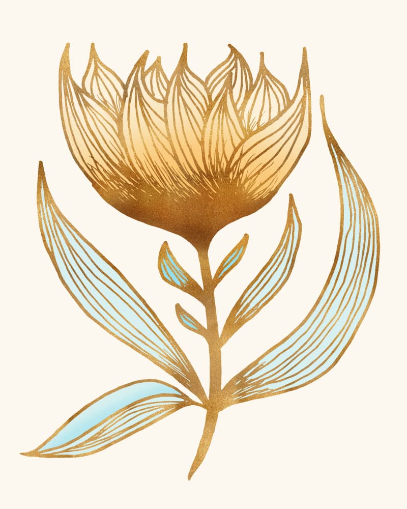 Sunfloewr Queen 3 by Kristian Gallagher — canvas wall art