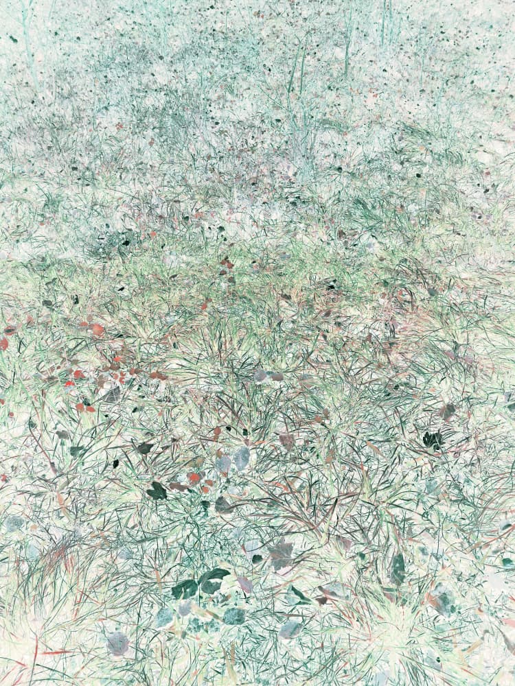 Ethereal Grass Texture by Angelo Cerantola — canvas wall art