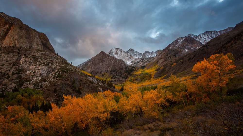 Golden Autumn Mountains by April Xie — canvas wall art