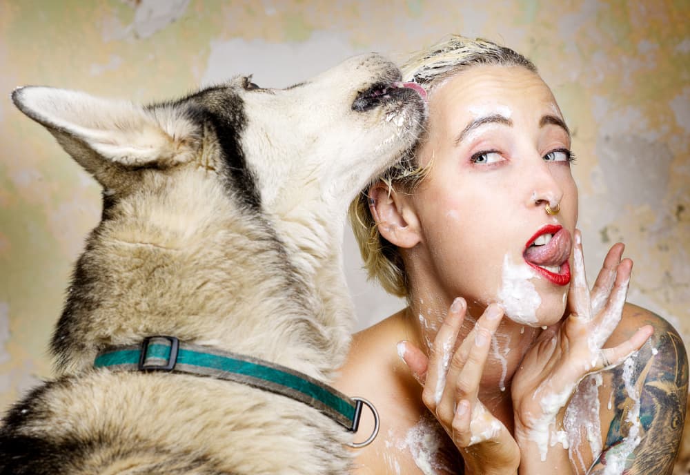 Messy Fun Dog Lick by Michael Allmaier — canvas wall art