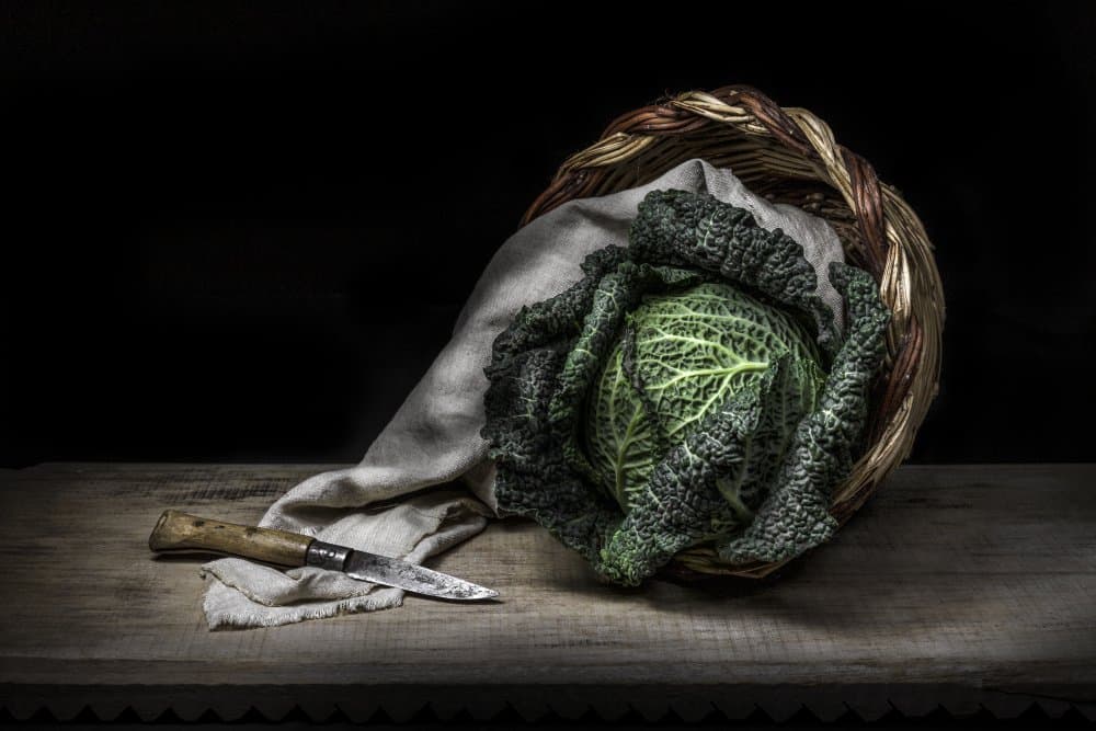 Rustic Cabbage Still Life by Adriana Vitale — canvas wall art